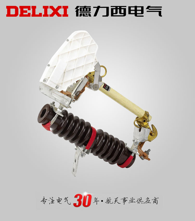 德力西高压跌落式熔断器RW10-12KV 冲件类型 每组3只 订单产品